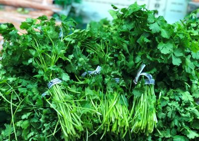 Cilantro